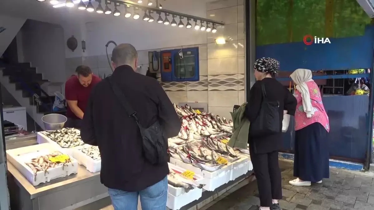 Palamut Fiyatları Yükseldi