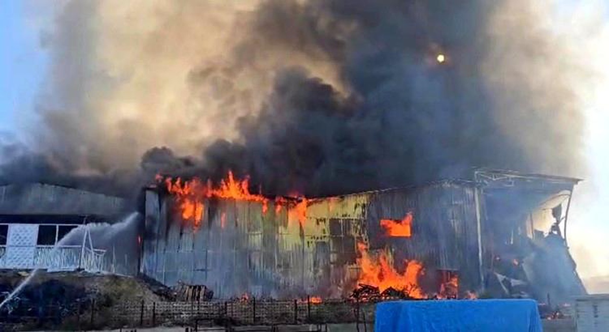 Kozan\'da Balık Yemi Fabrikasında Yangın
