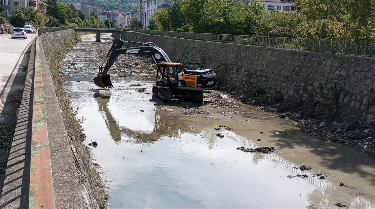 Cide\'de Dere Temizliği