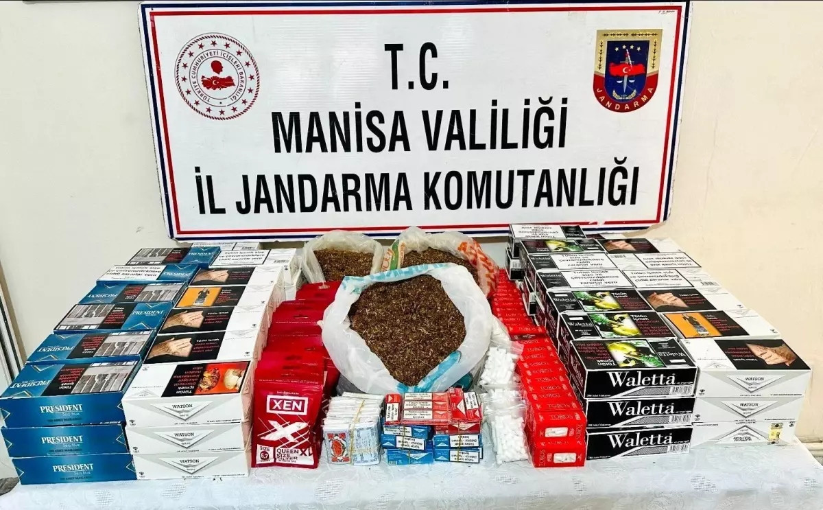 Manisa\'da Jandarma Operasyonu: 42 Bin Makaron Ele Geçirildi