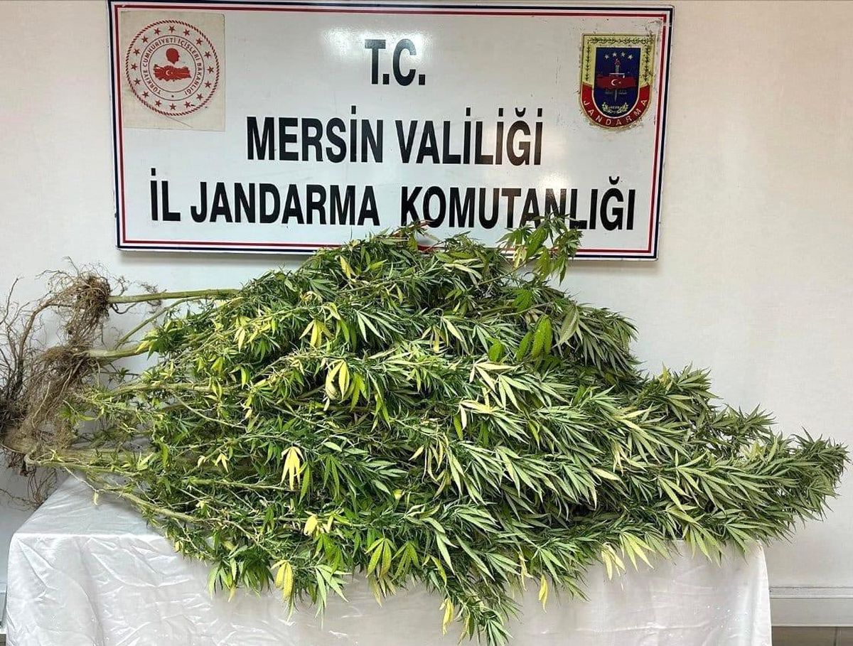 Mersin\'de Uyuşturucu Operasyonu: 4 Gözaltı