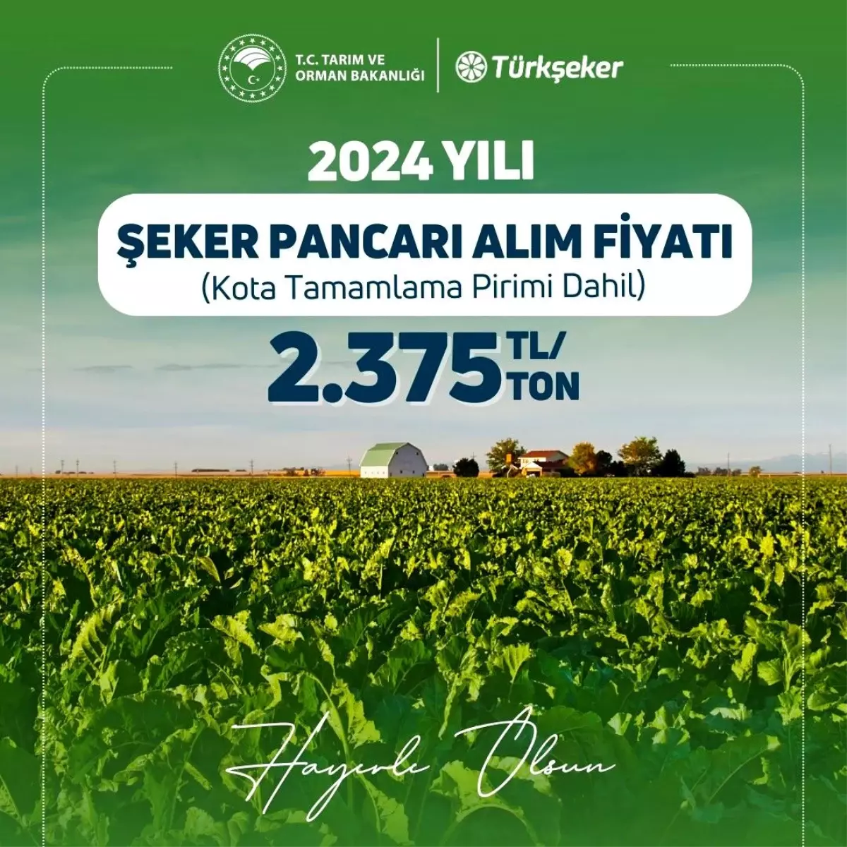 2024 Şeker Pancarı Fiyatı Belirlendi