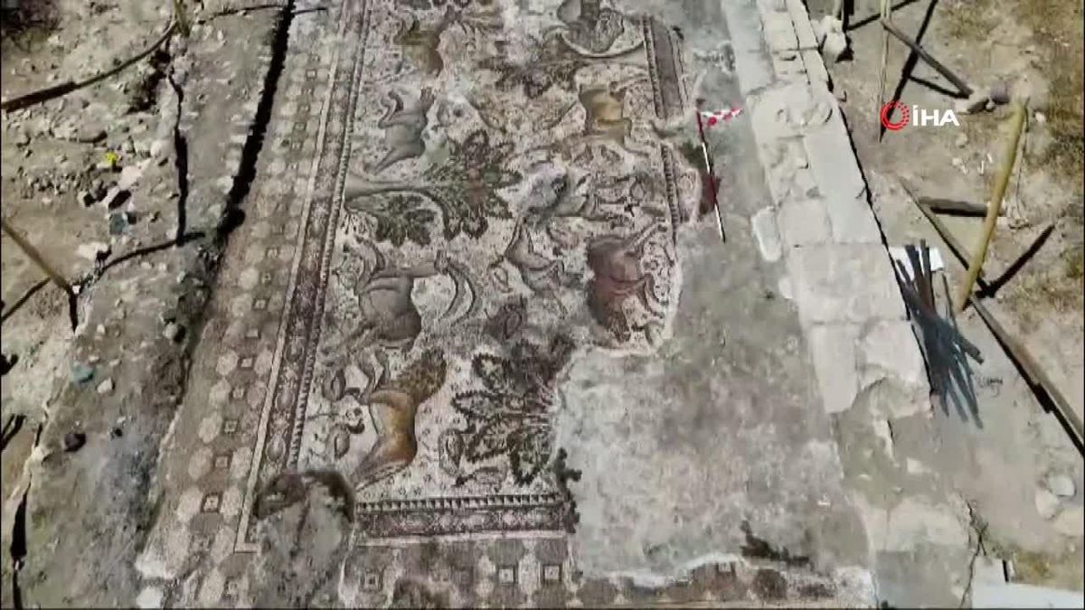 Elazığ\'da 84 Metrekarelik Mozaik Bulundu