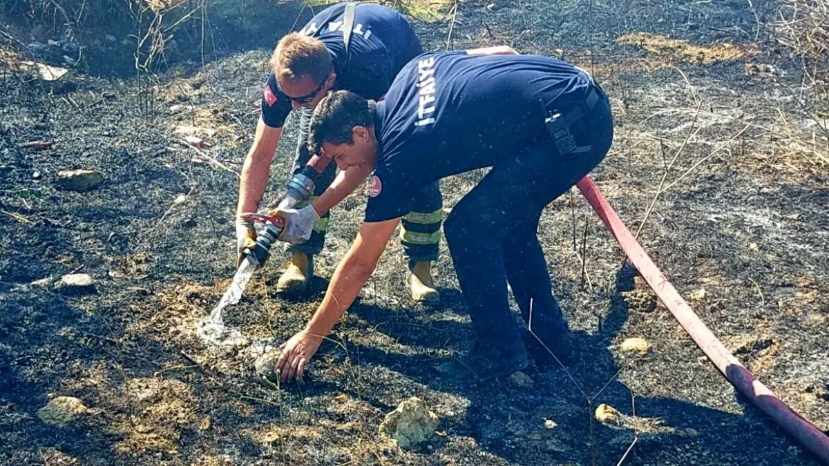 Kurtarılan Kaplumbağa Yangın Sonrası Doğaya Salındı