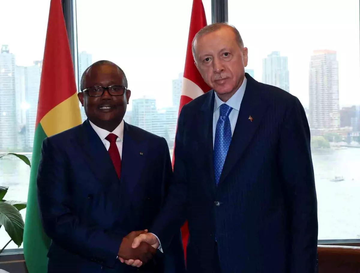 Erdoğan, Gine Bissau Cumhurbaşkanı ile Görüştü