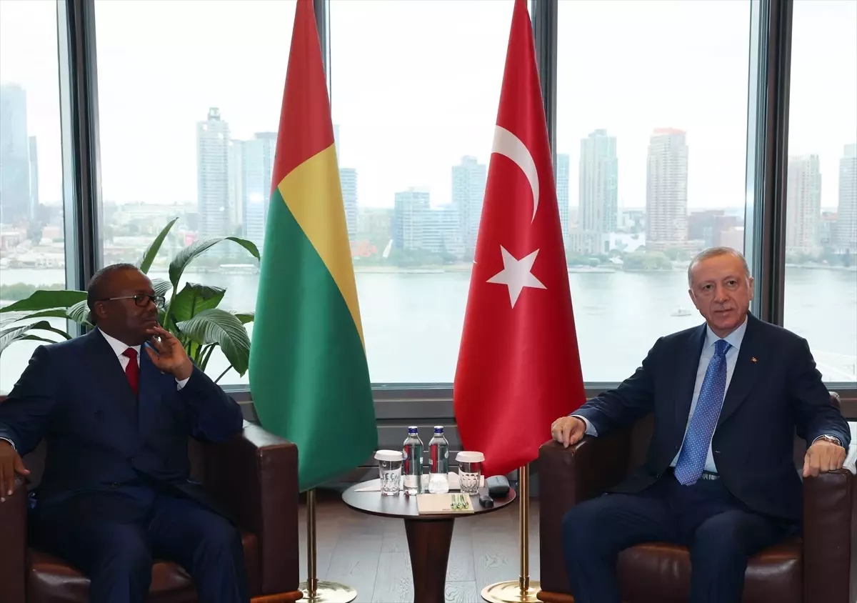 Erdoğan, Gine Bissau Cumhurbaşkanı ile Görüştü