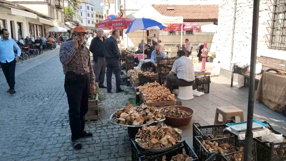 Kanlıca Mantarı Kilosu 150 TL!