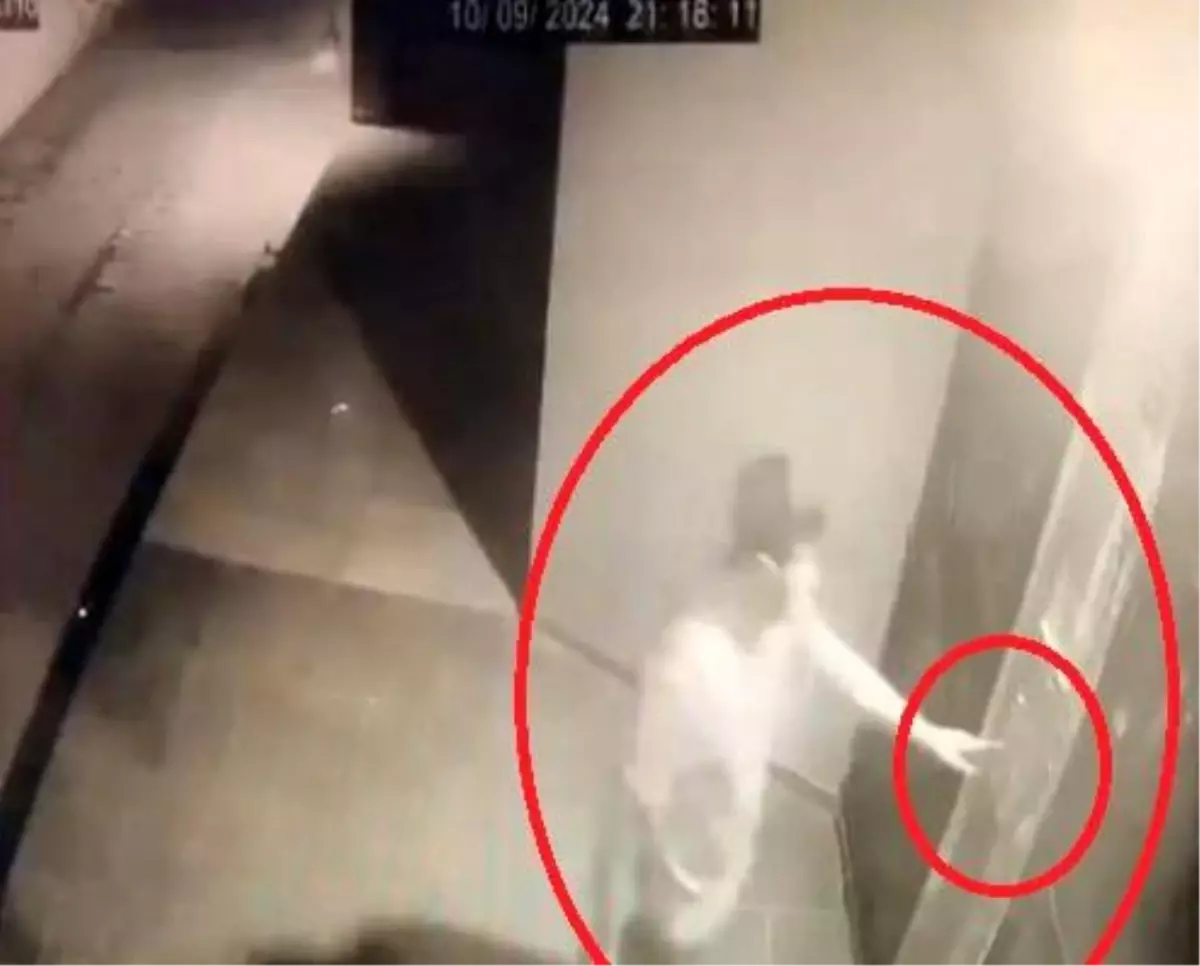 Diyarbakır\'da Kripto Para Vurgunu