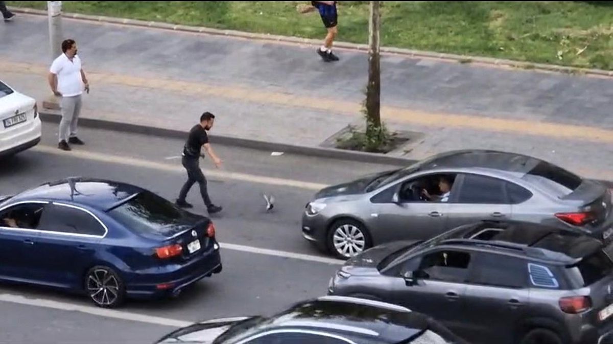 Yaralı Güvercin Trafiği Kilitledi