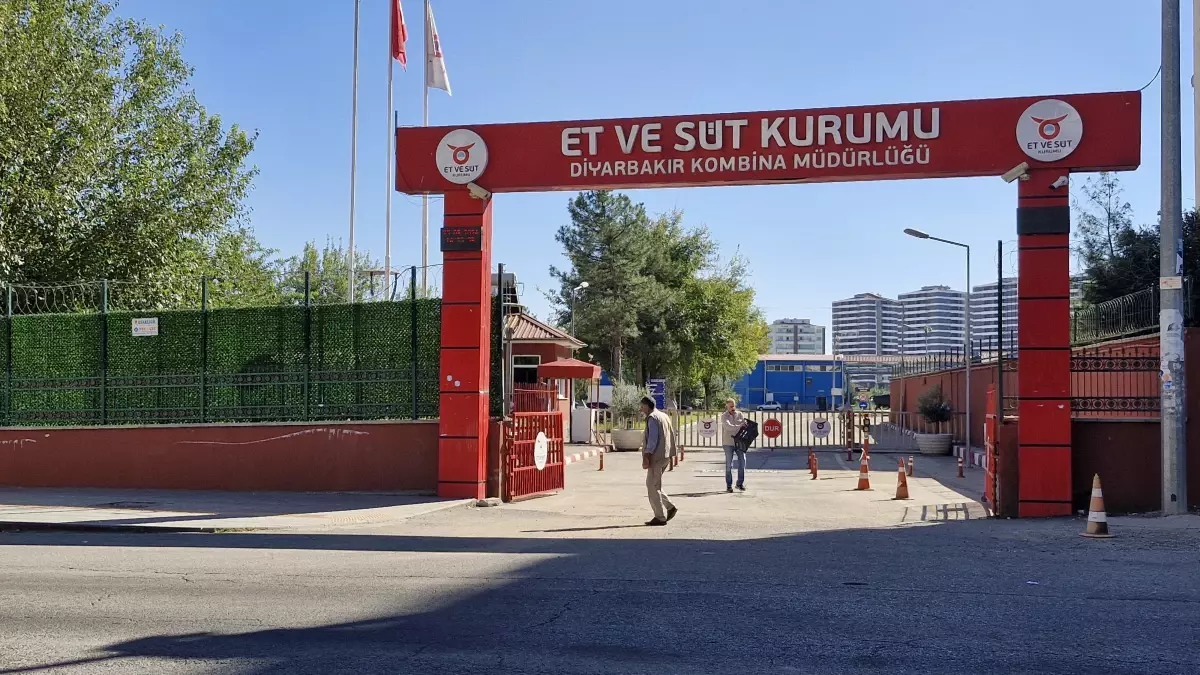 Diyarbakır Karpuzu Yarışması Yaklaşıyor