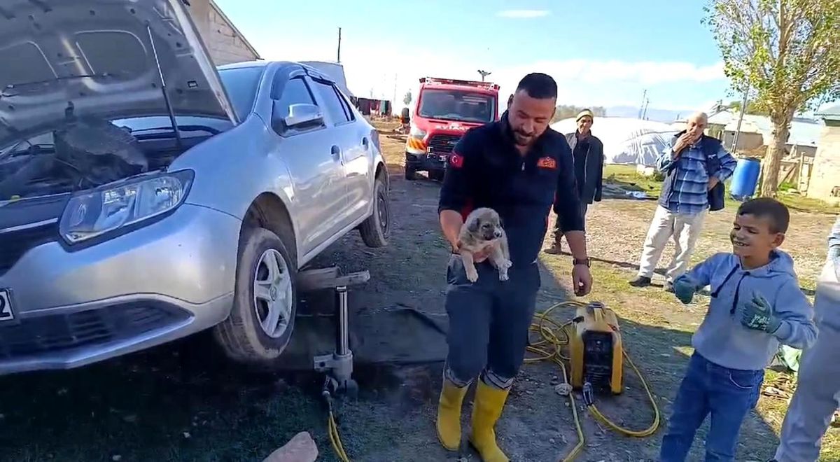 Yavru Köpek İtfaiye Ekiplerince Kurtarıldı