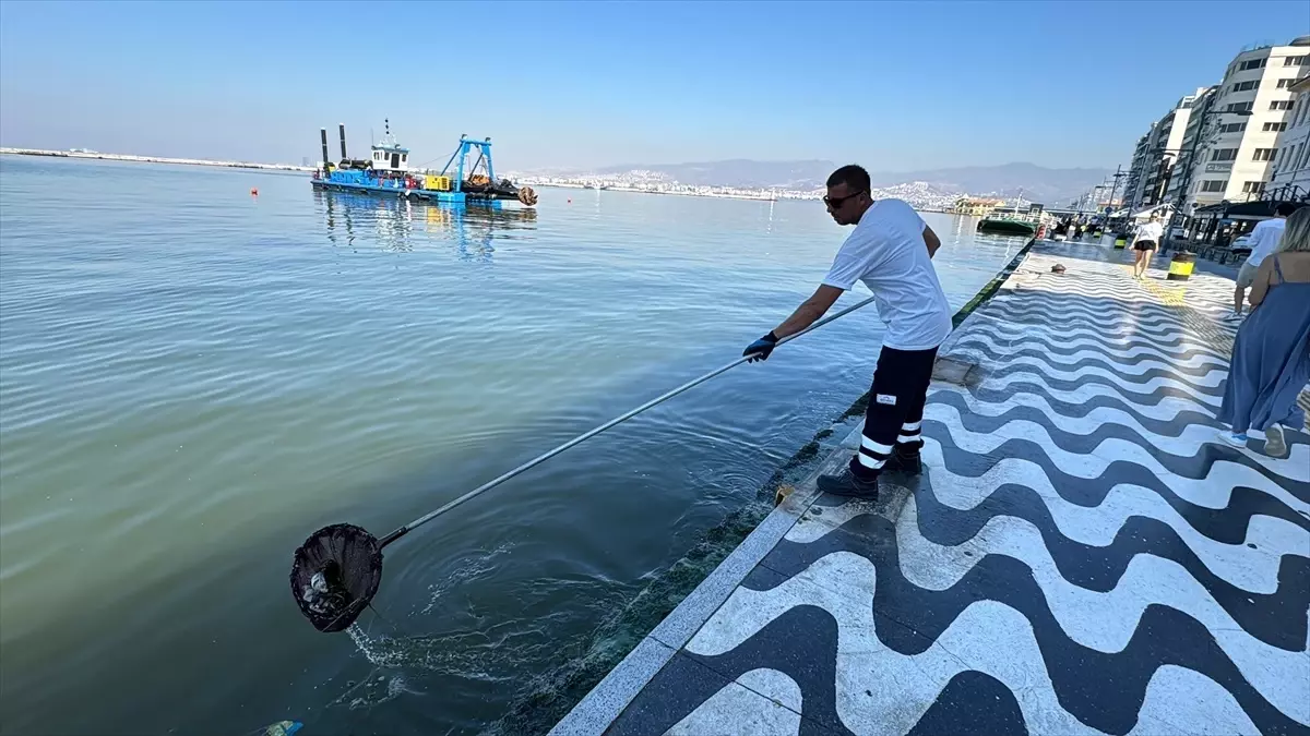 İzmir Körfezi\'nde Balık Ölümleri ve Kirlilik Sorunu