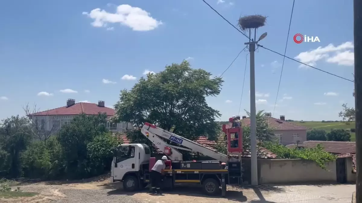 Dronlarla Leylek Yuvalarına Bakım