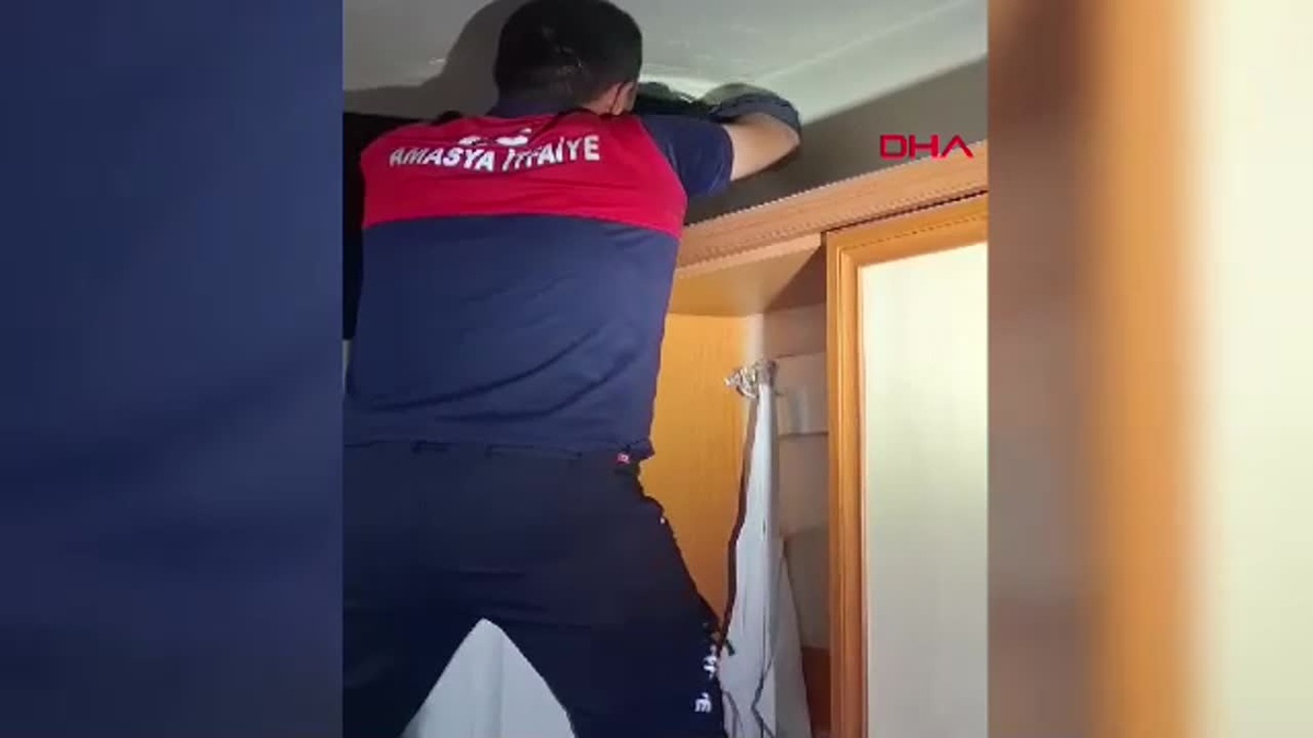 Amasya\'da Baca Deliğine Düşen Kedi Kurtarıldı