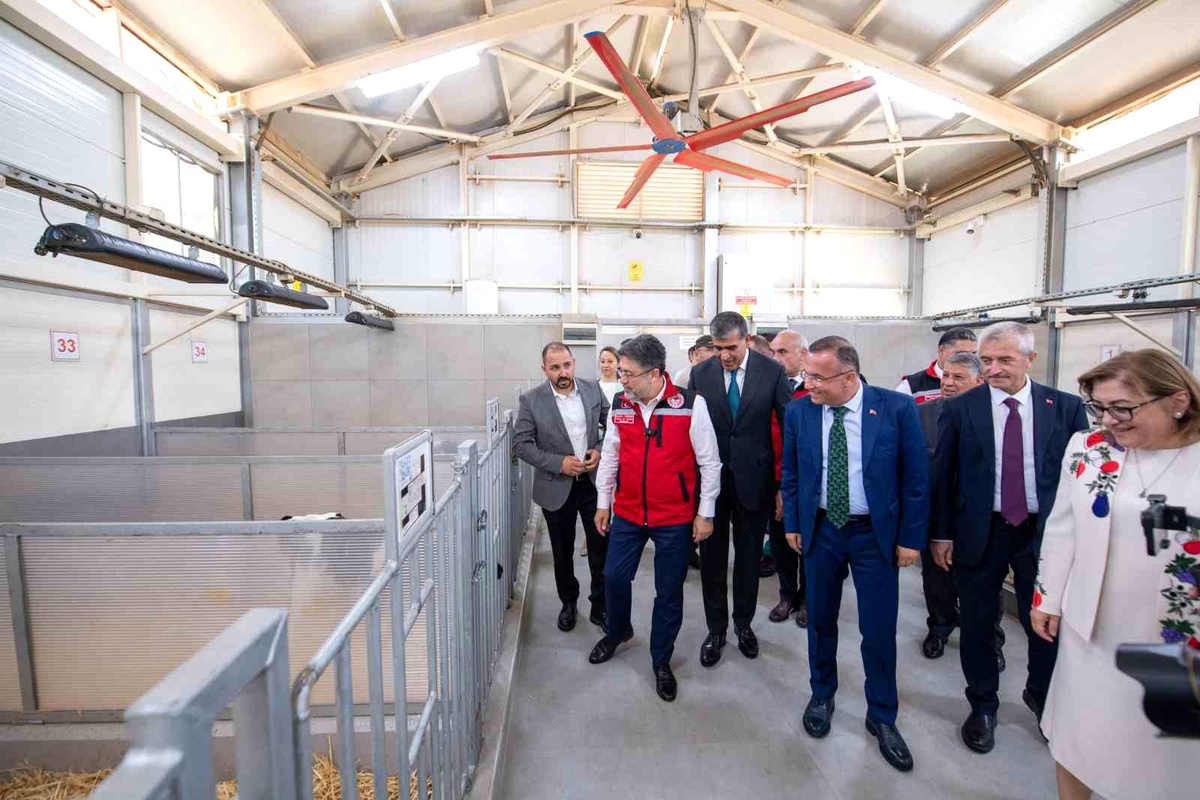 Bakan Yumaklı, Modern Hayvancılık Tesislerini Ziyaret Etti