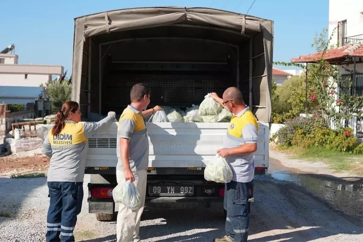 Didim Belediyesi\'nden İhtiyaç Sahiplerine Ücretsiz Tarım Ürünleri Desteği