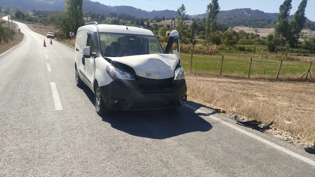 Kamyonet Koyuna Çarptı, Sürücü Yaralandı