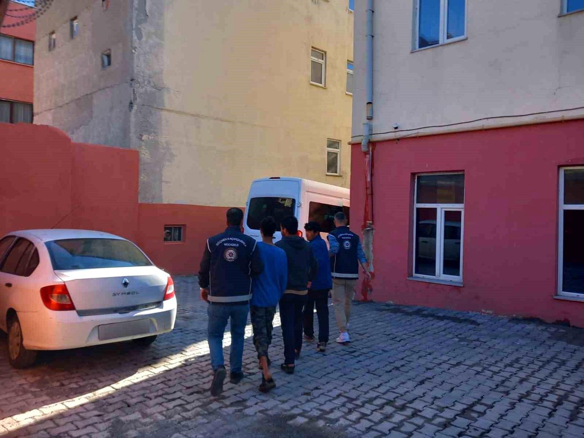 Kars\'ta Düzensiz Göçmen Operasyonu