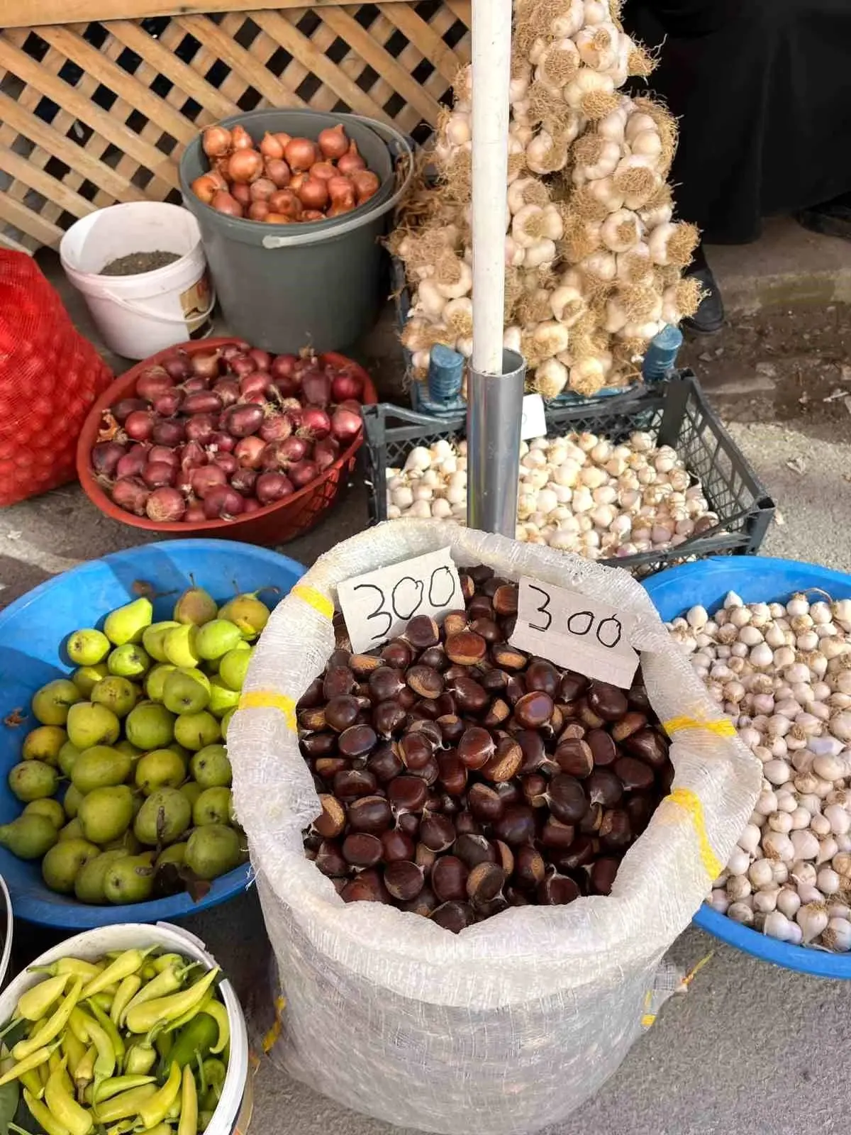 Türkeli\'de Kestane Fiyatları Yükseldi