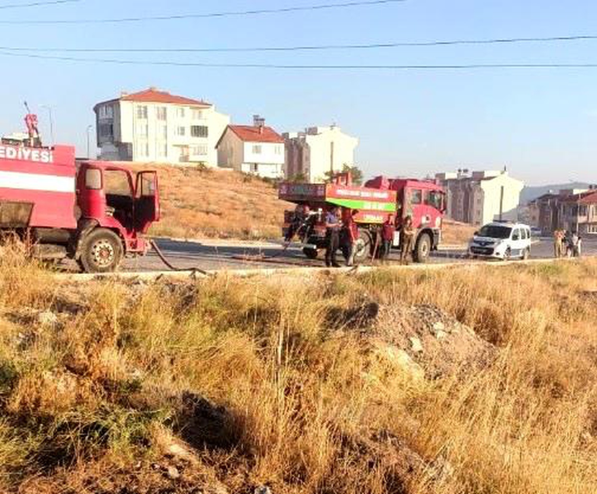 Kütahya\'nın Tavşanlı İlçesinde Ormanda Yangın Çıktı