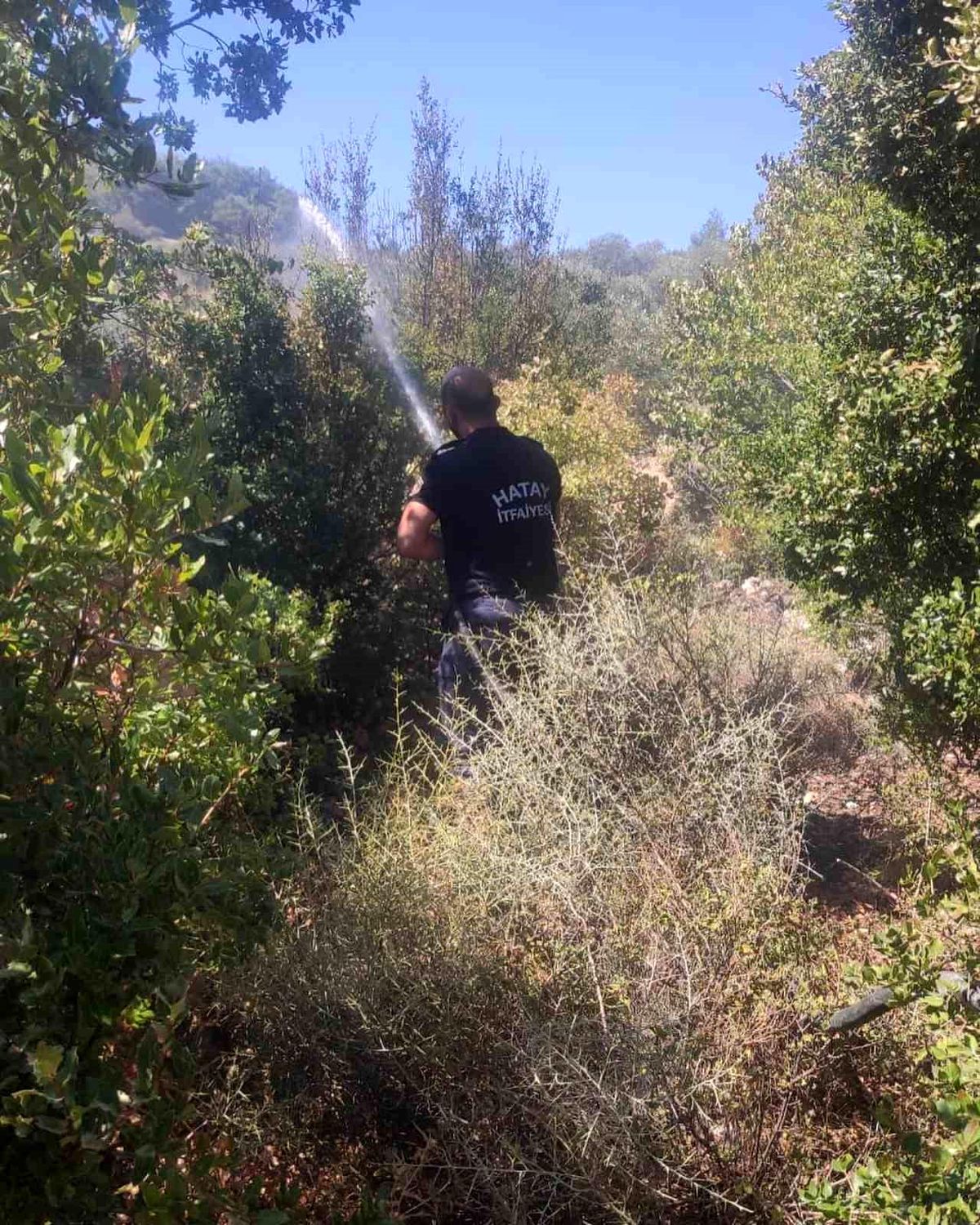 Hatay\'da Zeytinlik Yangını Kontrol Altına Alındı