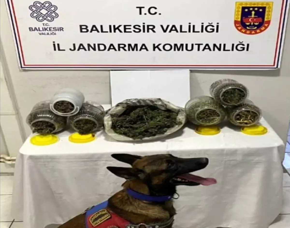 Balıkesir\'de Uyuşturucu Operasyonu: 6 Şüpheli Yakalandı