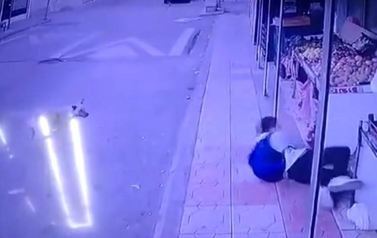 Kahramanmaraş\'ta Sokak Köpeği Saldırısı