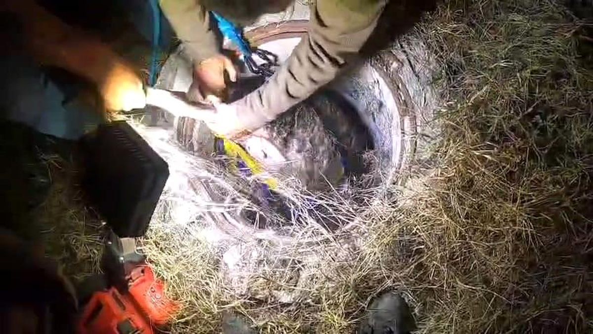 Rögara Düşen İki Küçükbaş Hayvan Kurtarıldı