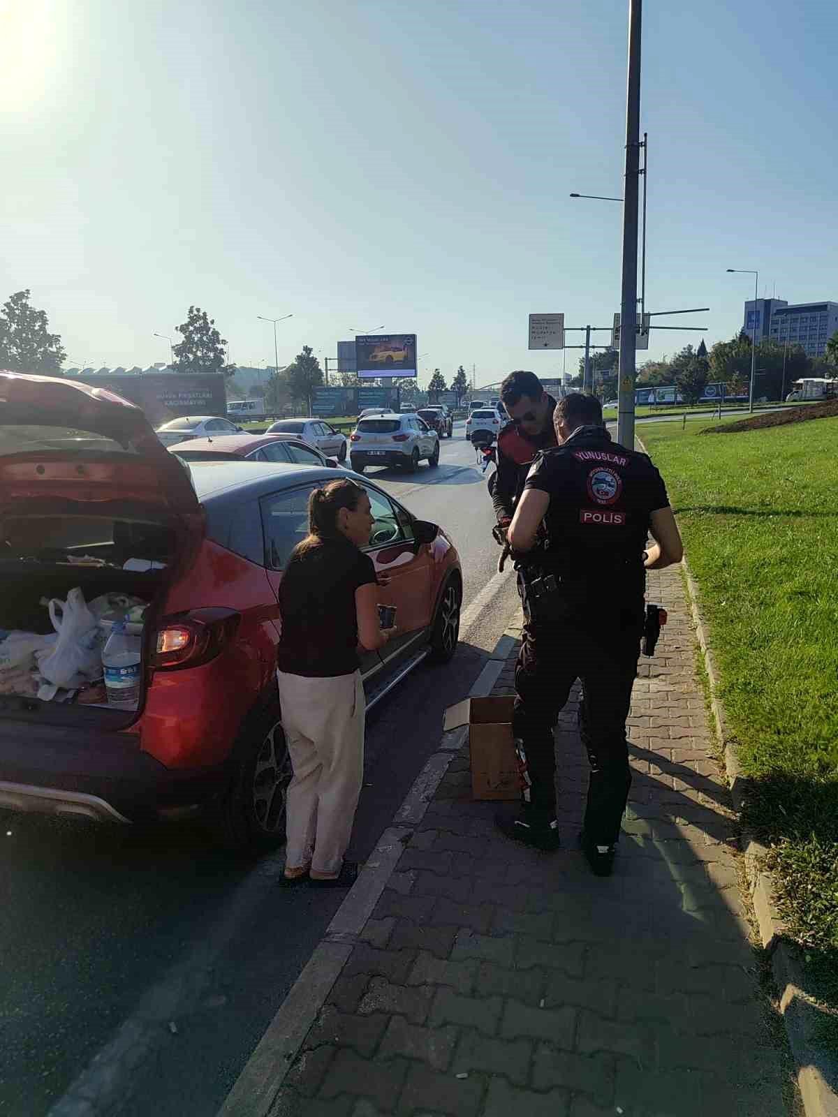 Bursa\'da Yavru Kedi Trafiği Kısıtladı