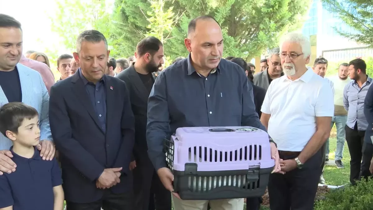 CHP\'nin Kedisi Şero Defnedildi
