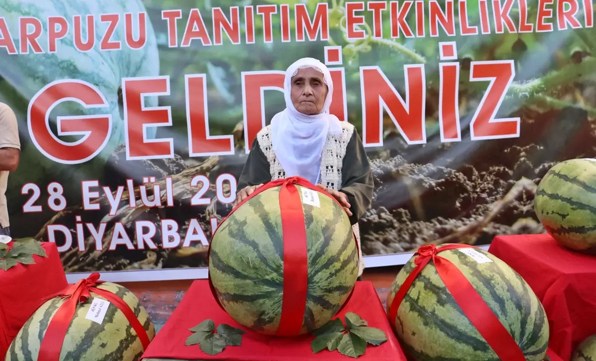 Diyarbakır Karpuzu Yarışmasında 1. İkram Atlı