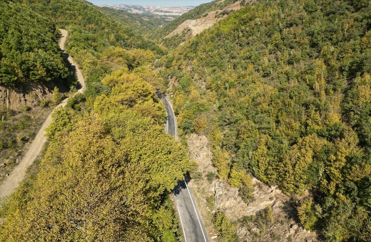 Ganos Dağı\'nda Sonbahar Renk Cümbüşü
