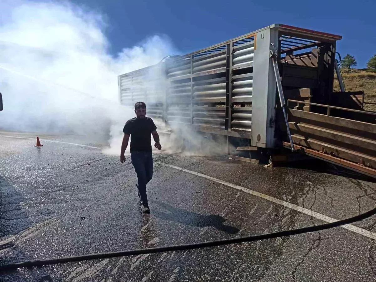 Tunceli\'de canlı hayvan taşıma aracında yangın paniği