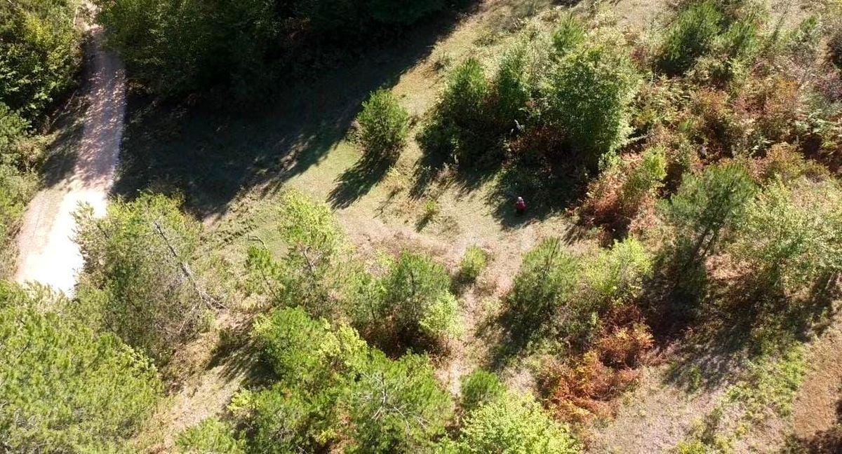 Mantar Toplama Yasak, Dron ile Tespit Edildi