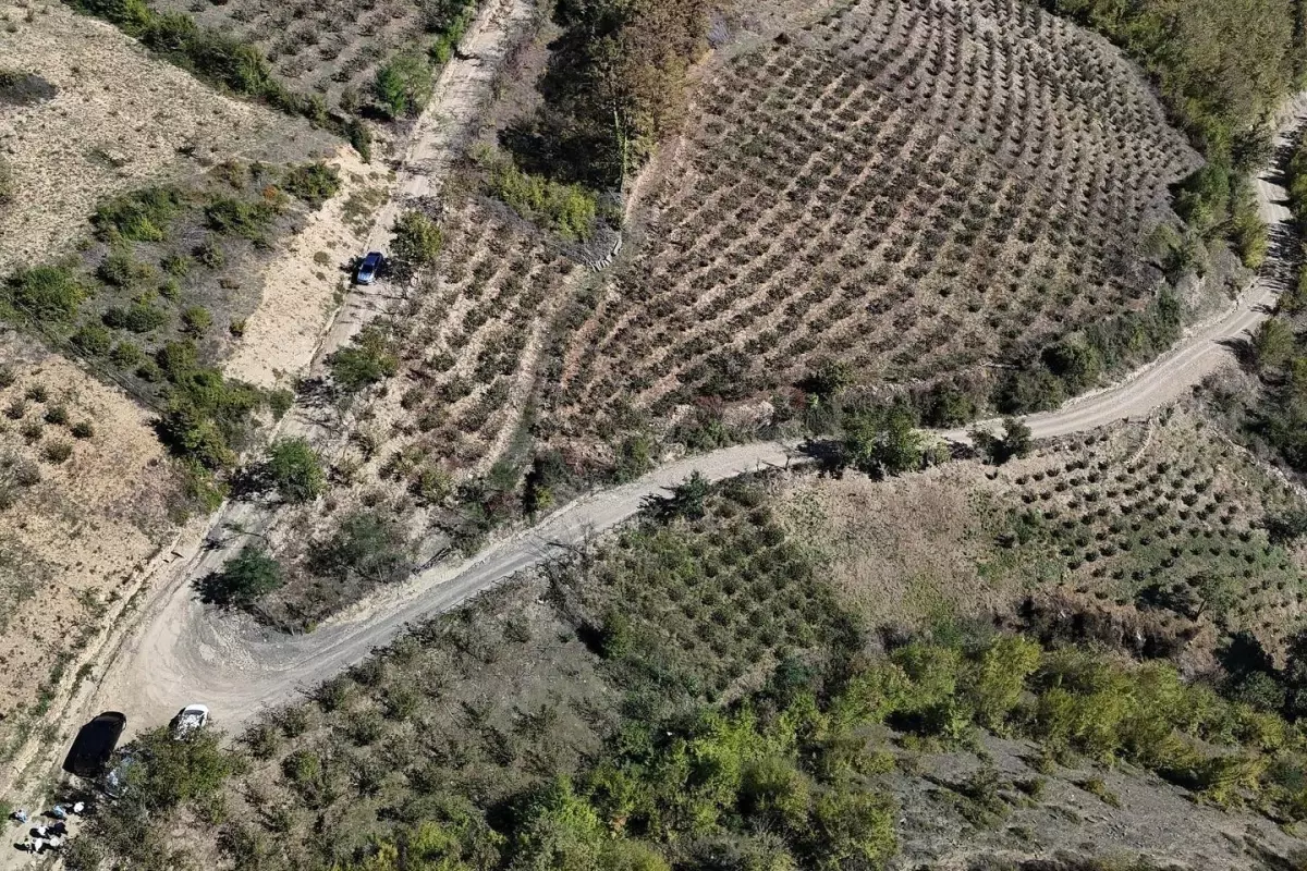 Canik’te Yol Çalışmaları Hızla Devam Ediyor