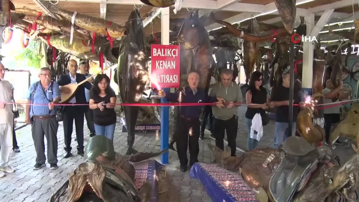 Palamut ve Kılıç Balığı Fiyatları Düştü