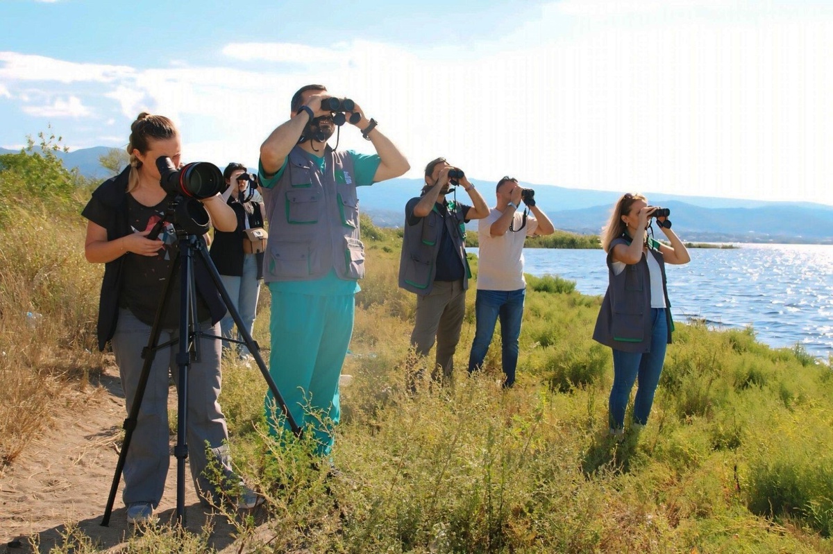 İzmit Körfezi\'nde Flamingo Sayısı 491\'e Yükseldi