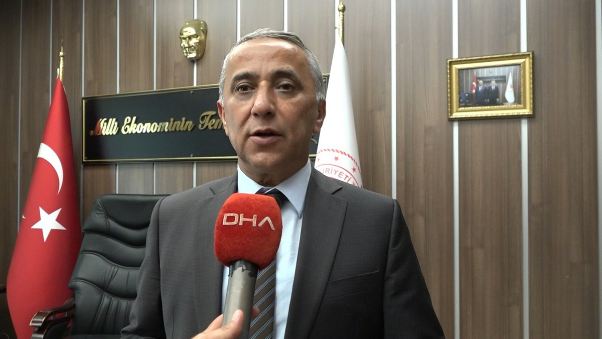 Samsun\'da Palamut Fiyatları Yükseldi