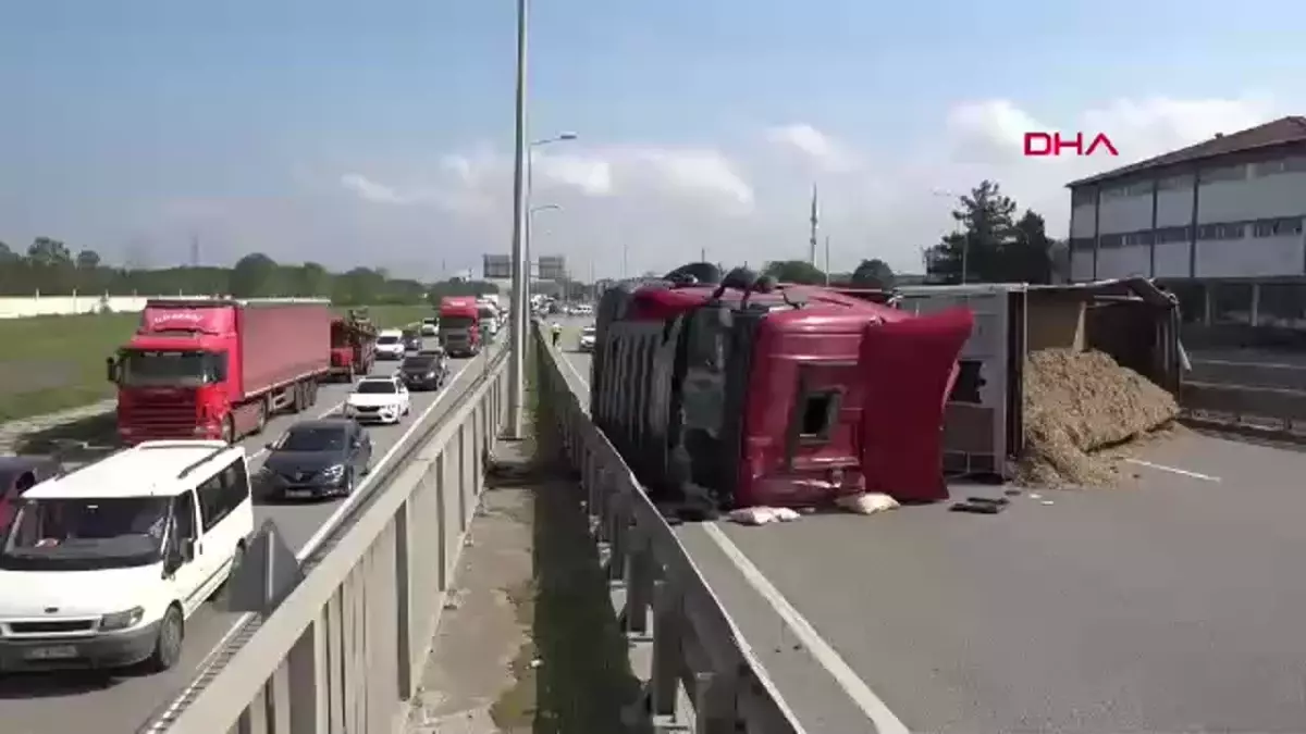 Arı Sokması Kazaya Sebep Oldu