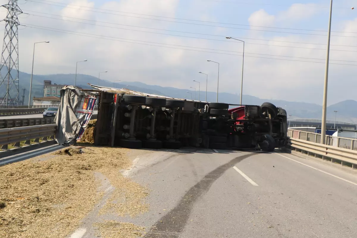 Arı sokması kazaya neden oldu: Devrilen tır 50 metre sürüklendi