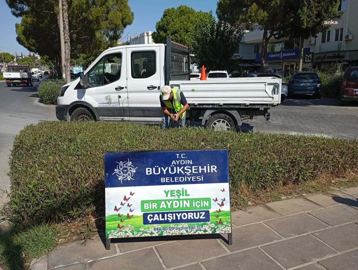 Aydın\'da Çevre ve Peyzaj Düzenlemeleri Gerçekleştirildi