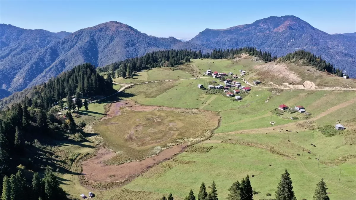 Gölyanı Yaylası: Doğanın Huzur Verici Adresi