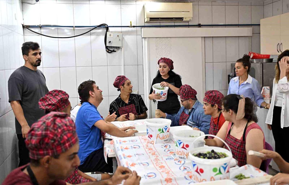 Engelsiz Kafe Öğrencileri İlk Zeytin Hasadını Gerçekleştirdi