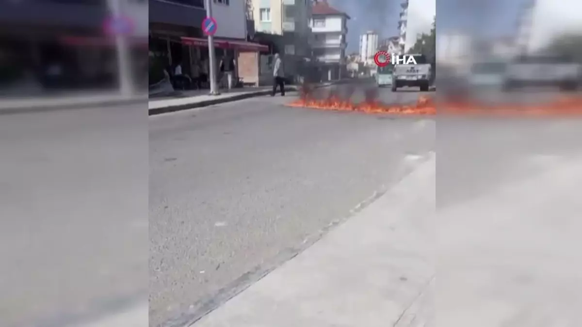 Fındık Üreticisi Öfkeyle Fındığını Yaktı