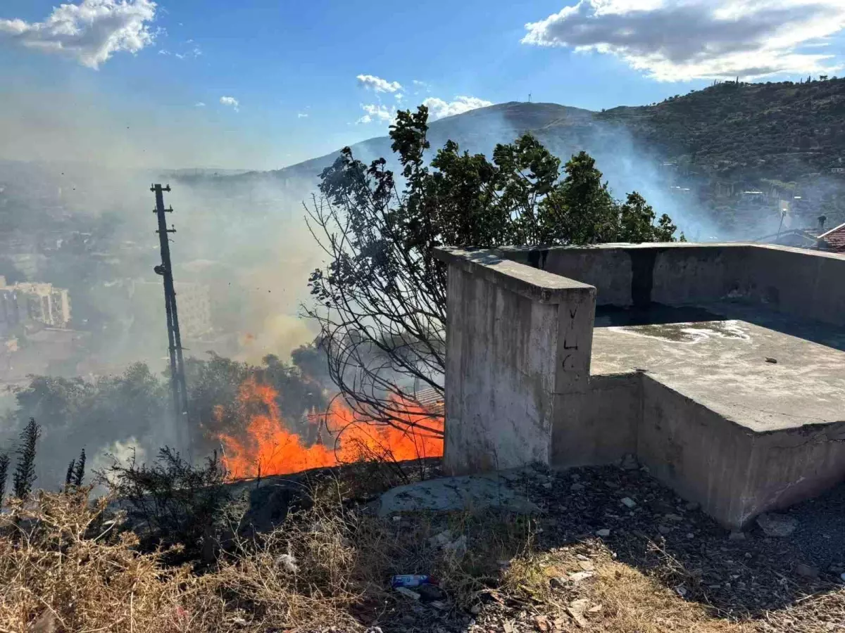 Söke\'de Yangın Kontrol Altına Alındı