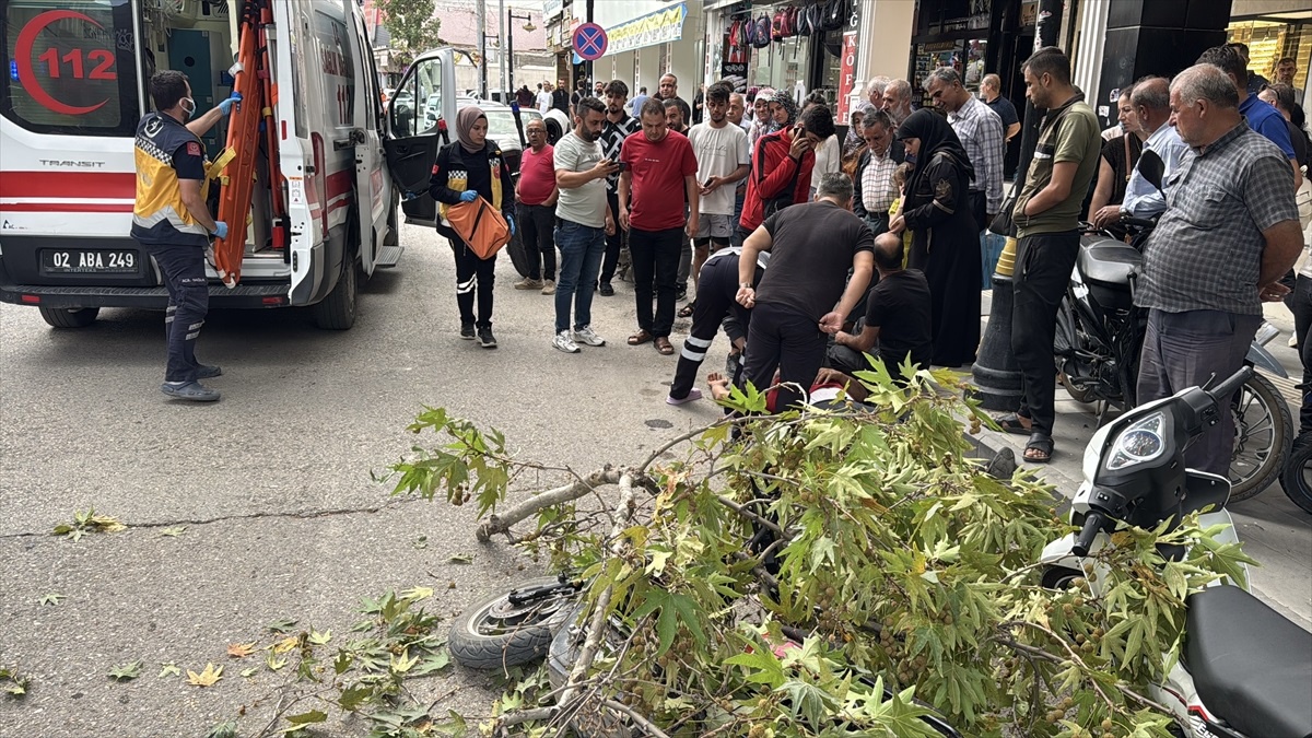 Rüzgarın Dalı Motosiklet Sürücüsünü Yaraladı