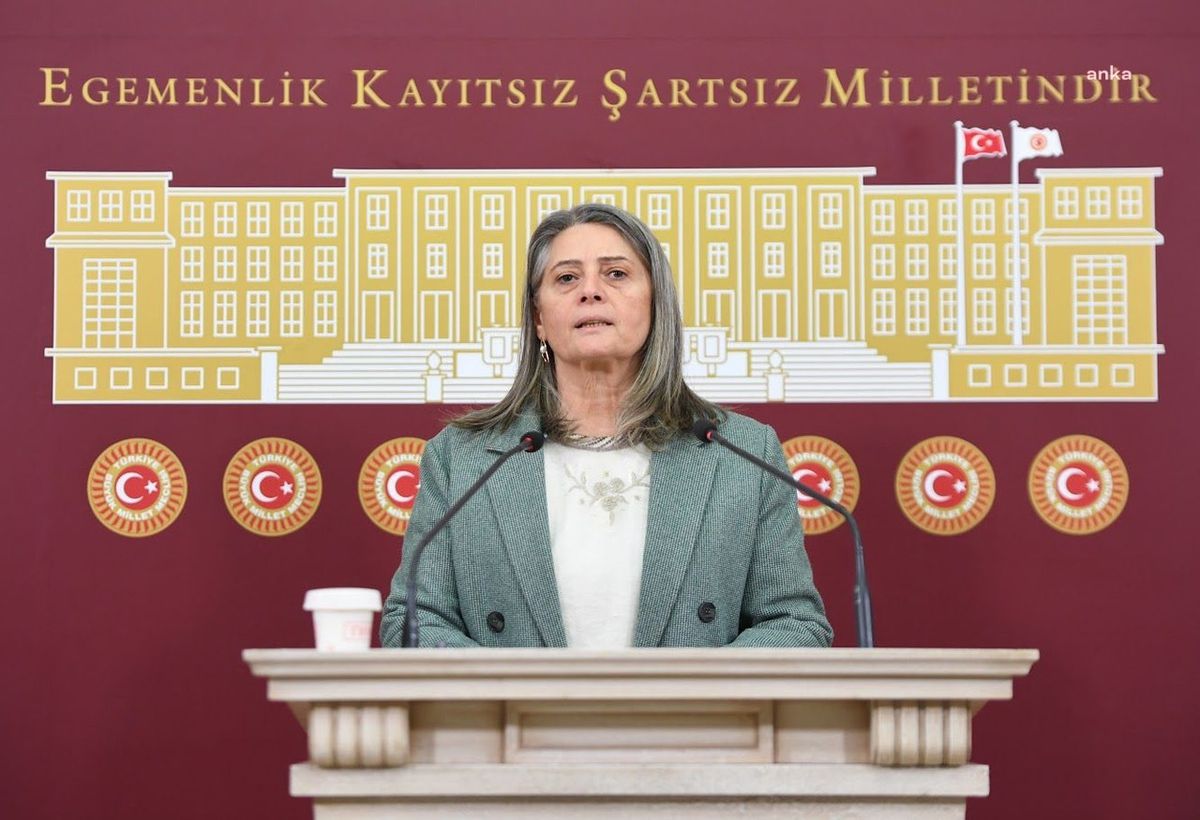 Suiçmez\'den Evde Bakım Yardımına Eleştiri