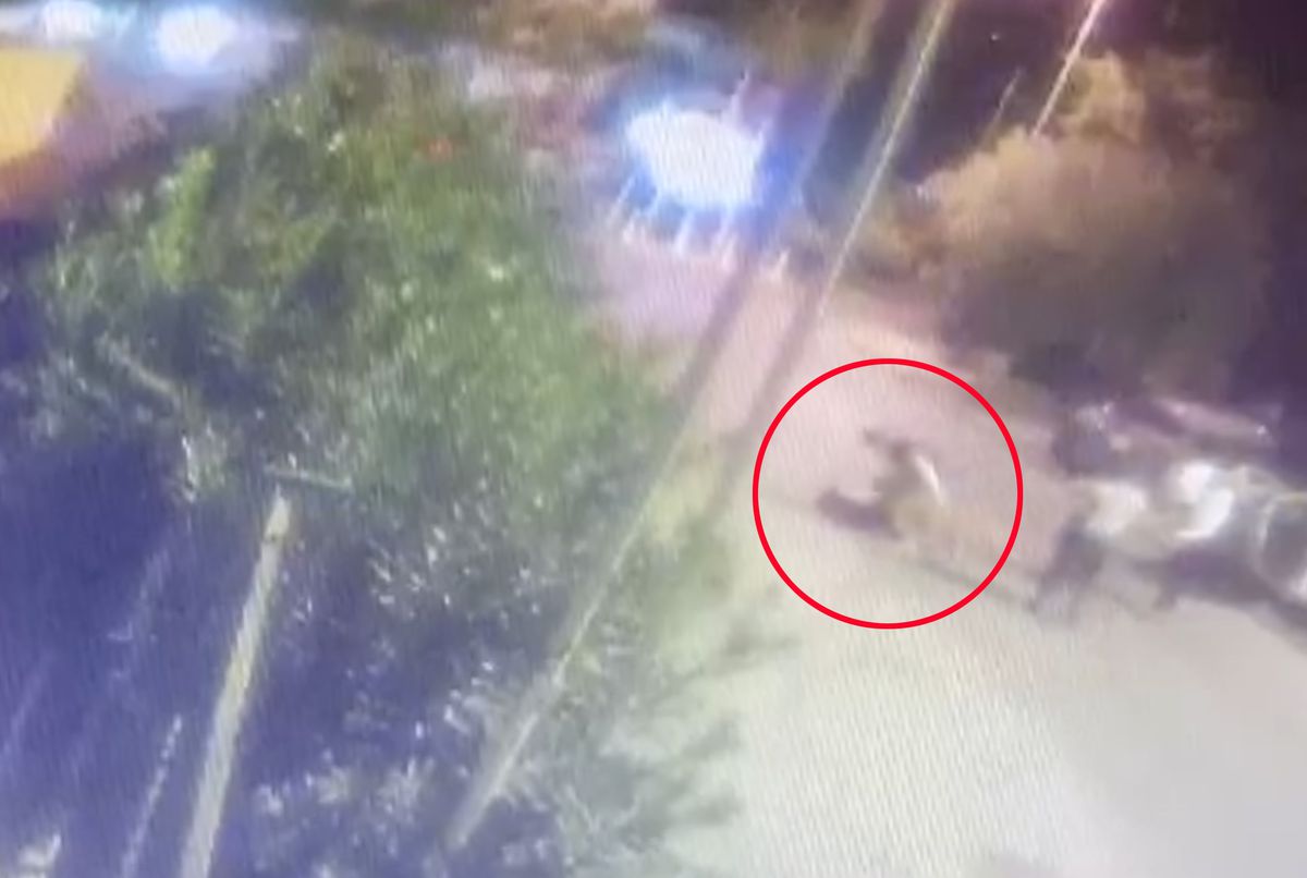 Manavgat\'ta Resepsiyoniste Saldırı Anı Kamerada