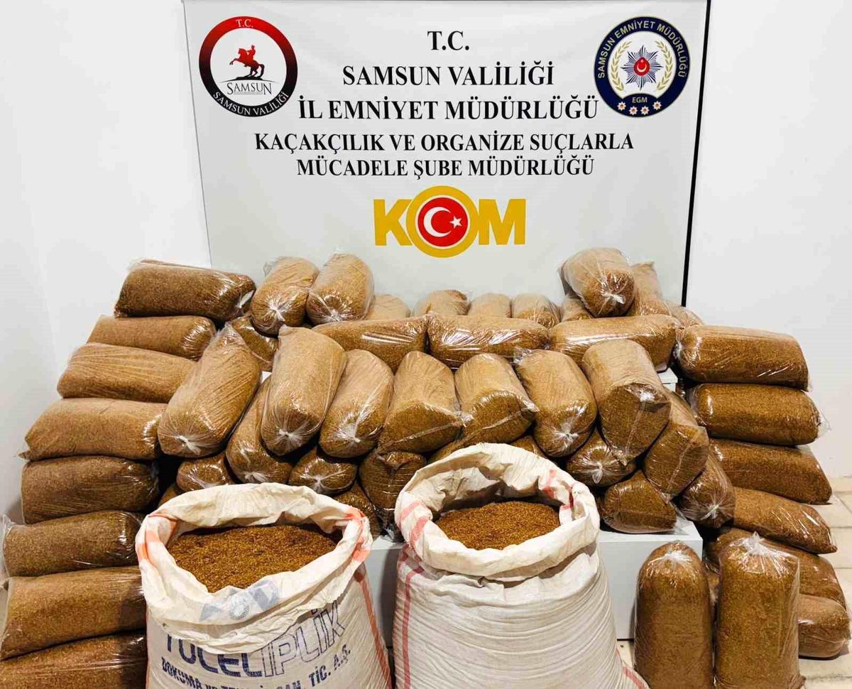 Samsun\'da 510 Kilo Kaçak Tütün Ele Geçirildi