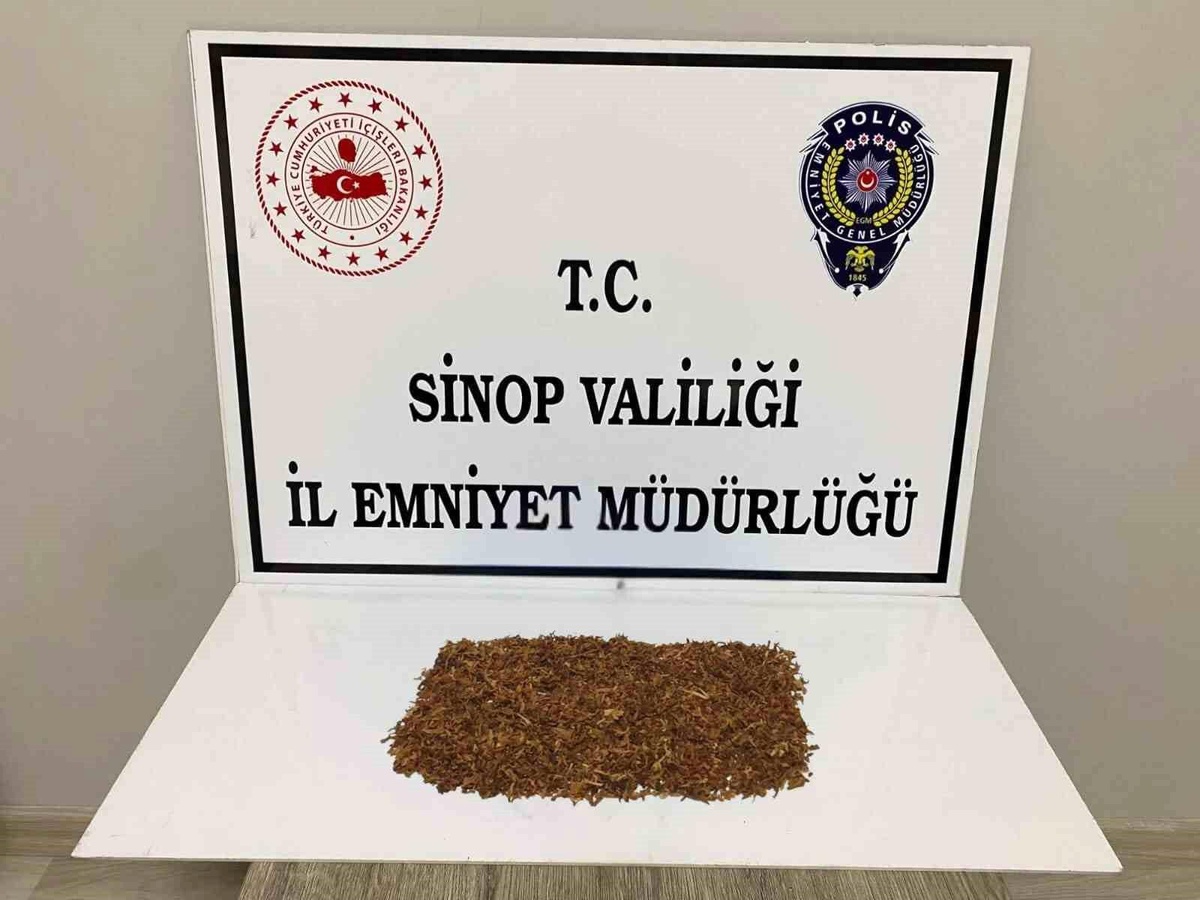 Sinop\'ta Bonzai Ele Geçirildi